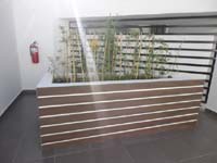 9 Entrada a Recepcion