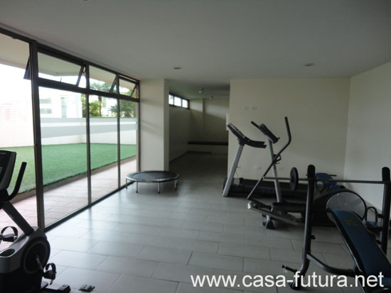 6 Gimnasio