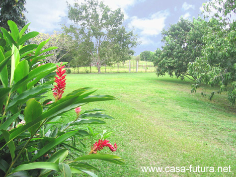 Jardines4