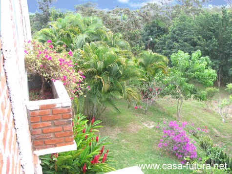 Jardines5