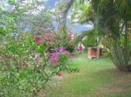Jardines