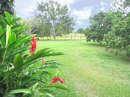 Jardines4