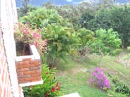 Jardines5