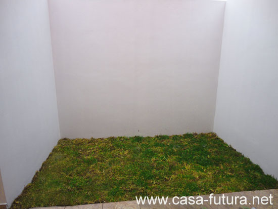 7 Patios y Pasillos (1)