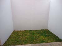 7 Patios y Pasillos (1)