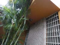 1 frente