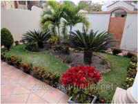 2 Jardines (2)