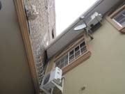 3 Posterior - Dish- Aires Serpentina-c