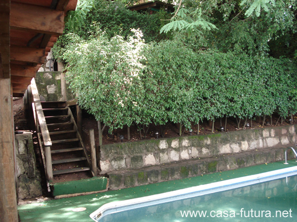 1 Piscina (10)