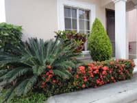2 Jardin Frontal