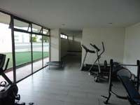 6 Gimnasio