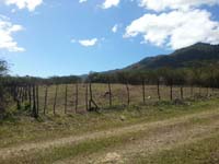 IMG-20130401-WA002