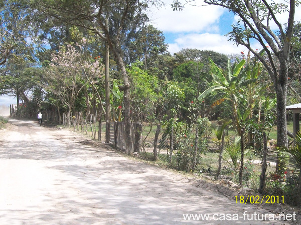 Area 1 (4)