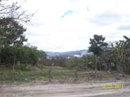 Area 1 (2)