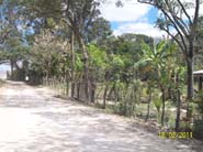 Area 1 (4)