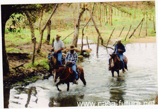 02 GUAIMACA 002