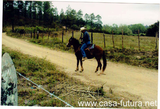 03 FOTOS DE LA FINCA 002