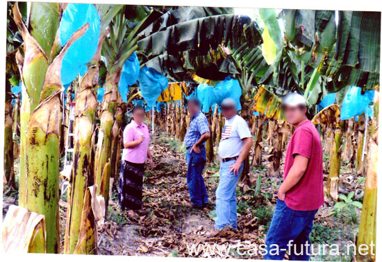 05  FOTOS DE LA FINCA 001
