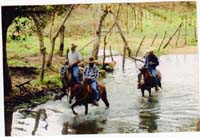 02 GUAIMACA 002