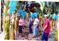 05  FOTOS DE LA FINCA 001