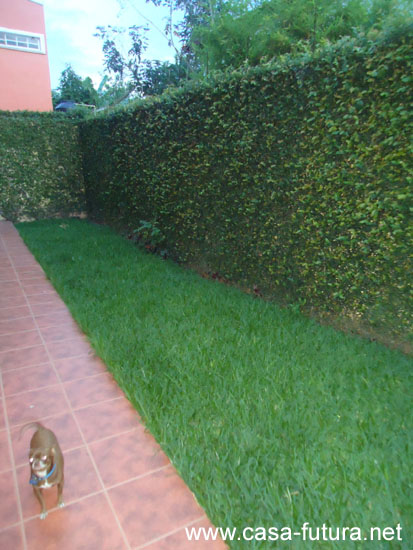 2 Patio