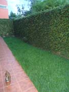 2 Patio