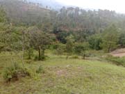 Foto5