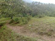 Foto8
