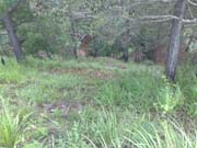 Foto9
