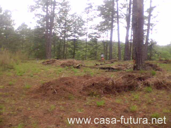 Terreno (1)