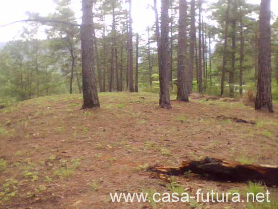 Terreno (2)