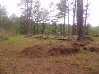Terreno (1)