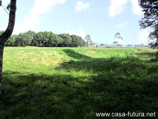 2g Area de Arboles y Finca2