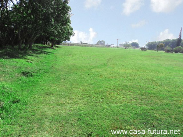2h- Area de Arboles y Finca3