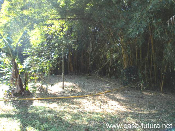 6 fZona Finca Cafe Bambu