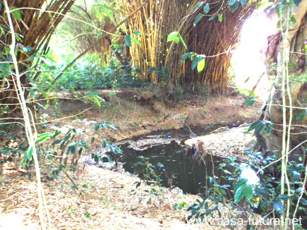 8 Quebrada o Rio Higuito
