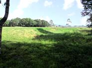 2g Area de Arboles y Finca2