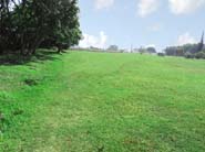 2h- Area de Arboles y Finca3