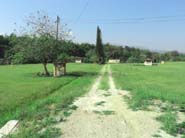 2l- Calle de Acceso Interna