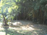 6 fZona Finca Cafe Bambu