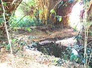 8 Quebrada o Rio Higuito